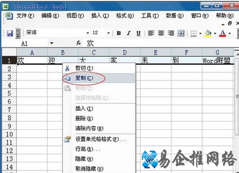 xlsx怎么打开