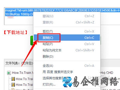 torrentkitty中文网怎么用