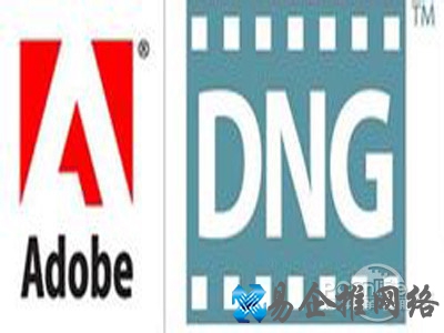 dng文件格式