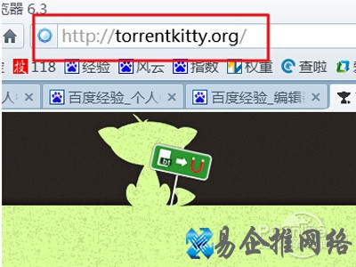 torrentkitty打不开怎么办