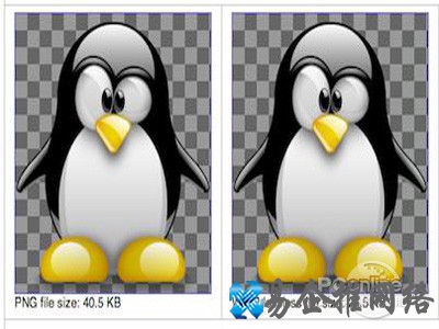 webp文件