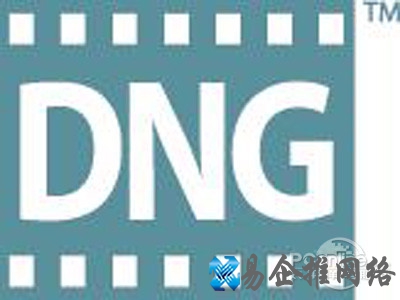 dng文件