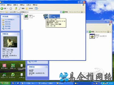 vnt文件怎么打开