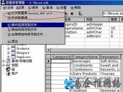 用ACCESS打开