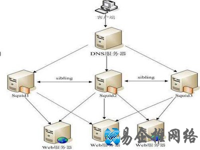 DNS服务器是什么