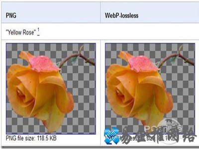 webp打开方式