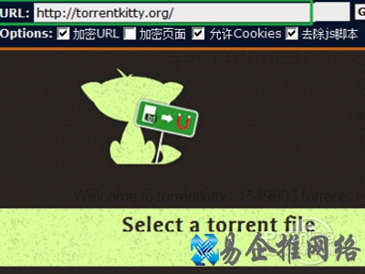torrentkitty打不开怎么办