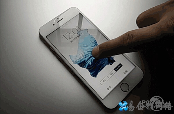 live是什么意思