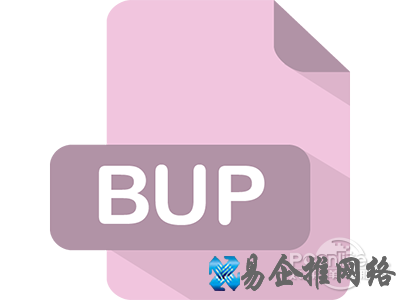 BUP是什么
