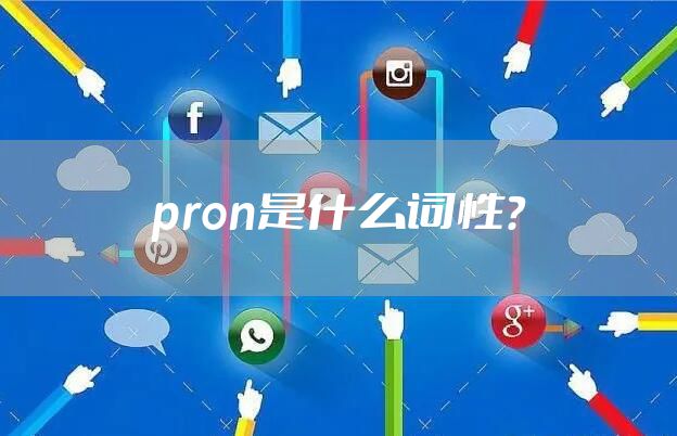 pron是什么词性？
