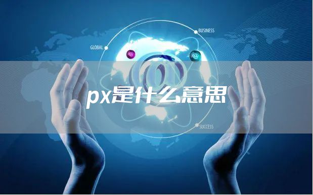 px是什么意思