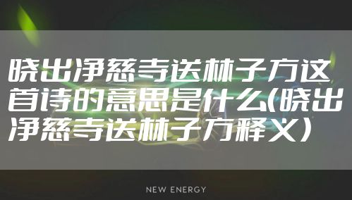 晓出净慈寺送林子方这首诗的意思是什么（晓出净慈寺送林子方释义）