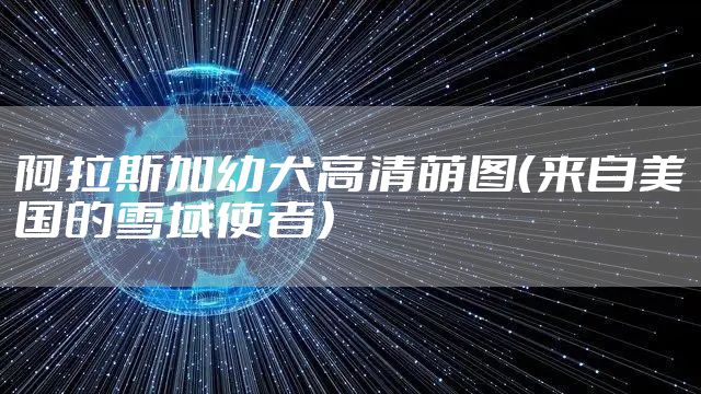 阿拉斯加幼犬高清萌图（来自美国的雪域使者）
