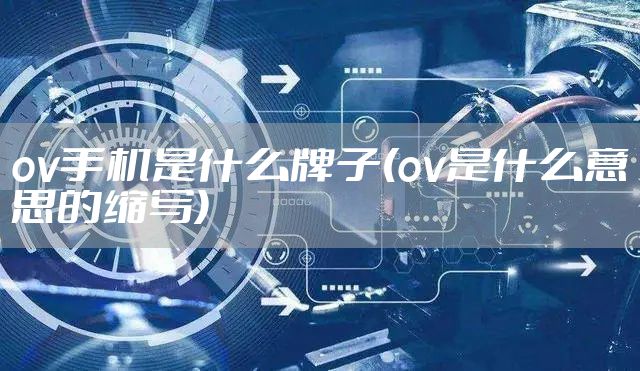 ov手机是什么牌子(ov是什么意思的缩写)