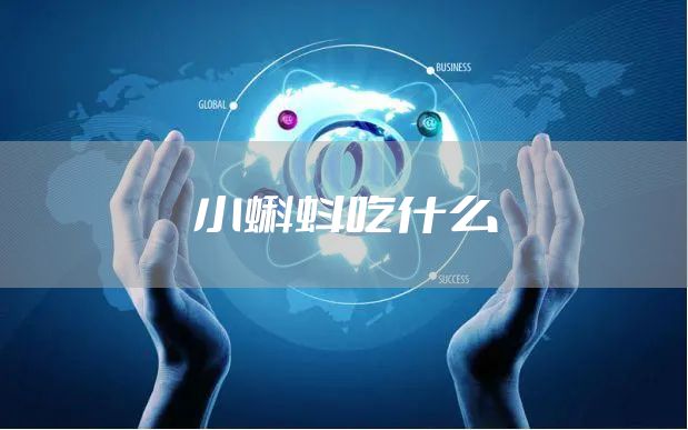 小蝌蚪吃什么