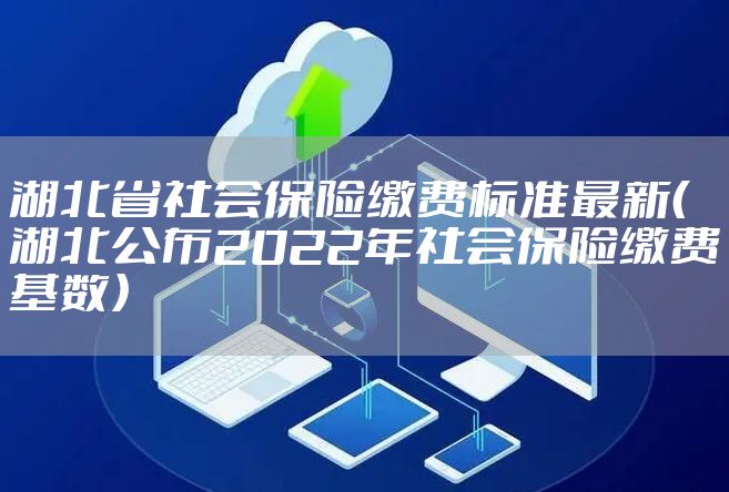 湖北省社会保险缴费标准最新（湖北公布2022年社会保险缴费基数）