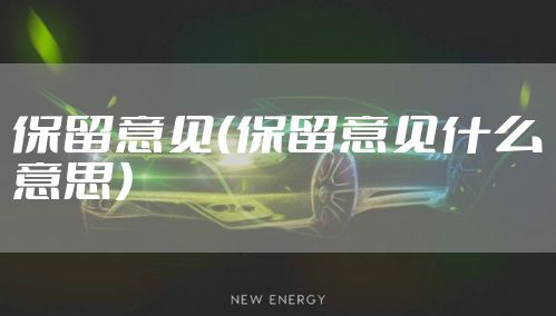 保留意见（保留意见什么意思）
