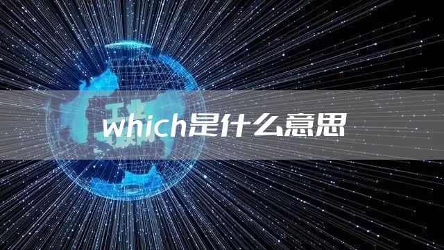 which是什么意思