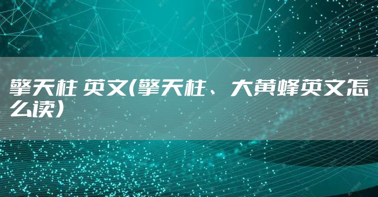 擎天柱 英文（擎天柱、大黄蜂英文怎么读）
