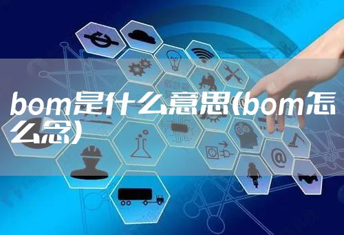 bom是什么意思(bom怎么念)