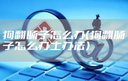 狗翻肠子怎么办（狗翻肠子怎么办土办法）