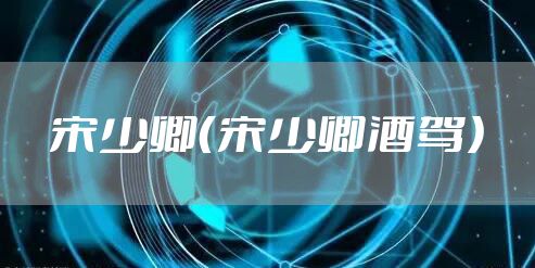 宋少卿（宋少卿酒驾）