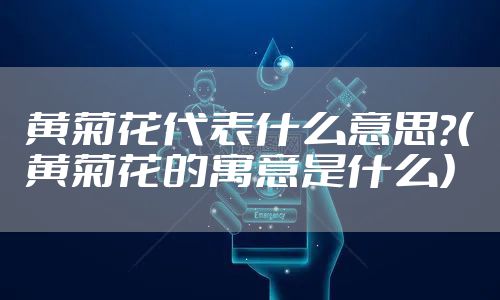 黄菊花代表什么意思？（黄菊花的寓意是什么）