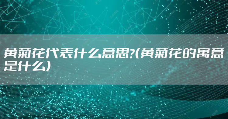 黄菊花代表什么意思？（黄菊花的寓意是什么）