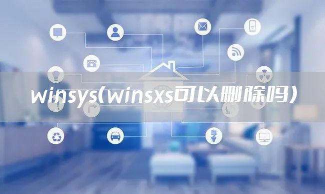 winsys（winsxs可以删除吗）