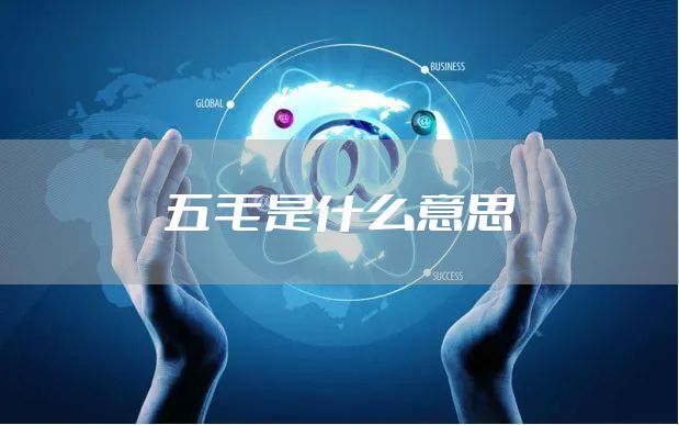 五毛是什么意思
