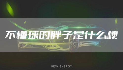不懂球的胖子是什么梗