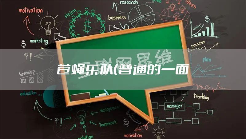 苍蝇乐队（普通的一面