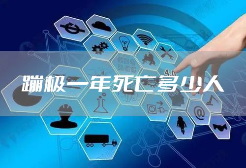 蹦极一年死亡多少人