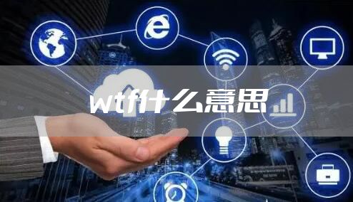 wtf什么意思