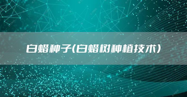 白蜡种子（白蜡树种植技术）