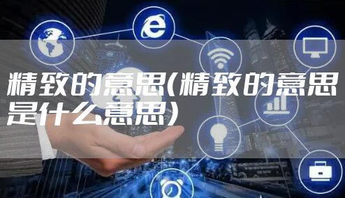 精致的意思（精致的意思是什么意思）