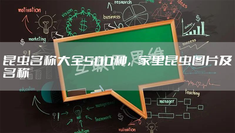 昆虫名称大全500种，家里昆虫图片及名称