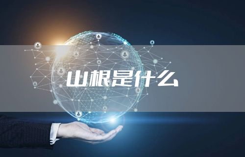 山根是什么
