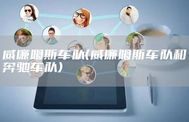威廉姆斯车队（威廉姆斯车队和奔驰车队）