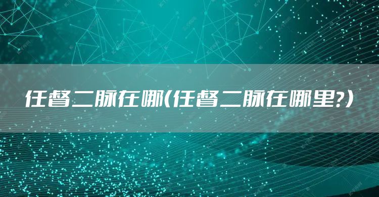 任督二脉在哪（任督二脉在哪里？）