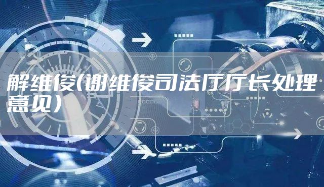 解维俊（谢维俊司法厅厅长处理意见）
