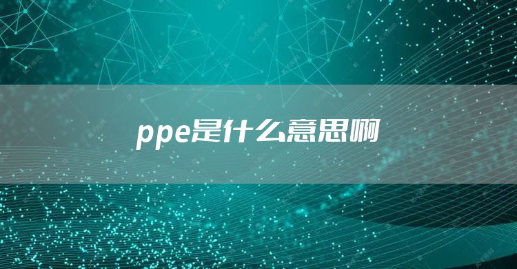 ppe是什么意思啊