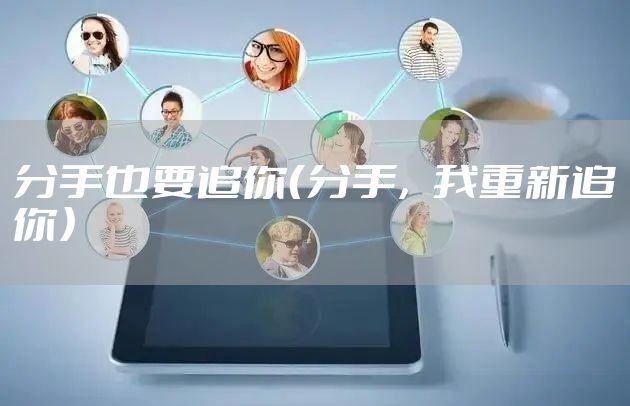 分手也要追你（分手，我重新追你）