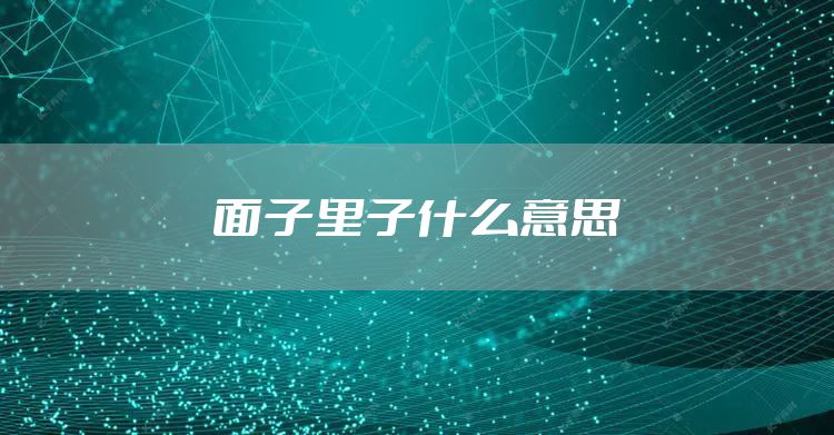 面子里子什么意思
