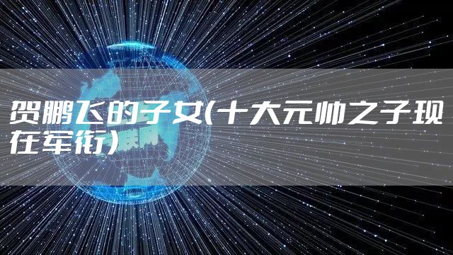 贺鹏飞的子女（十大元帅之子现在军衔）
