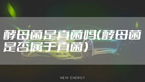 酵母菌是真菌吗（酵母菌是否属于真菌）