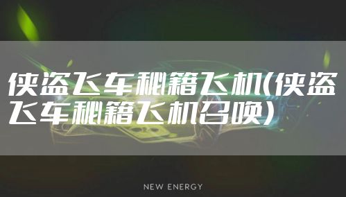 侠盗飞车秘籍飞机（侠盗飞车秘籍飞机召唤）