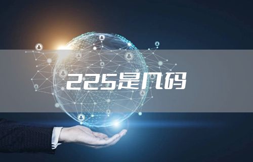 225是几码