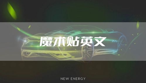 魔术贴英文