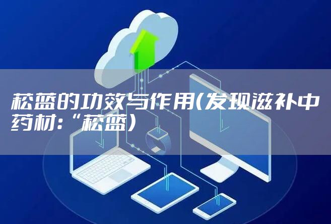 菘蓝的功效与作用（发现滋补中药材：“菘蓝）